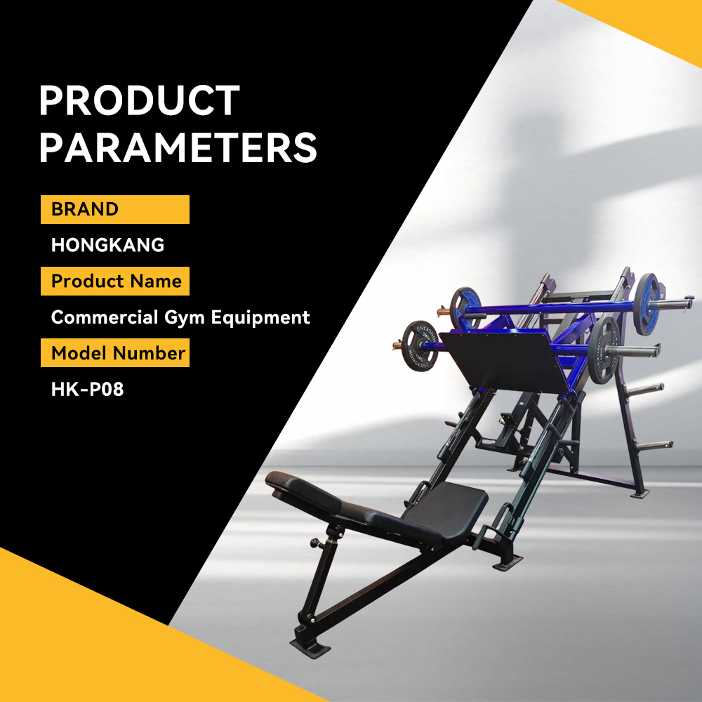 China Fabrikanten van fitnessa - Leg Press Machine recensie en prijs